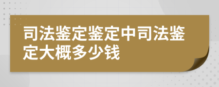 司法鑒定鑒定中司法鑒定大概多少錢