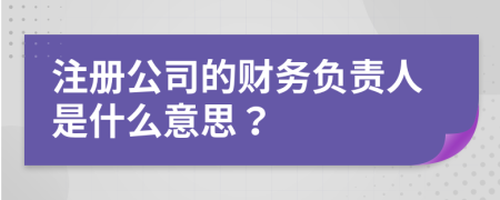 注冊(cè)公司的財(cái)務(wù)負(fù)責(zé)人是什么意思？