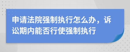 申請法院強(qiáng)制執(zhí)行怎么辦，訴訟期內(nèi)能否行使強(qiáng)制執(zhí)行