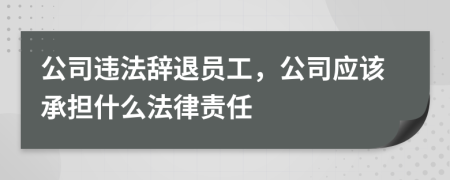 公司違法辭退員工，公司應(yīng)該承擔(dān)什么法律責(zé)任