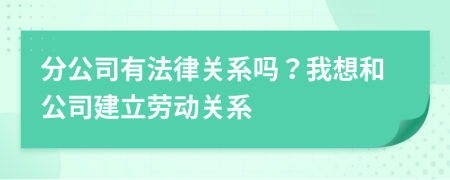 分公司有法律关系吗？我想和公司建立劳动关系