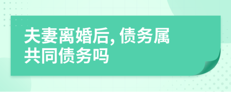 夫妻離婚后, 債務(wù)屬共同債務(wù)嗎