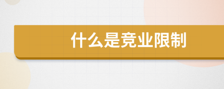 什么是競業(yè)限制