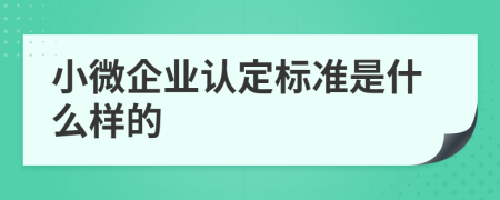 小微企業(yè)認定標(biāo)準(zhǔn)是什么樣的