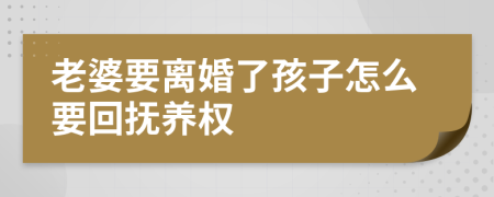 老婆要離婚了孩子怎么要回撫養(yǎng)權(quán)