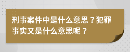 刑事案件中是什么意思？犯罪事實(shí)又是什么意思呢？