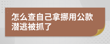 怎么查自己拿挪用公款潛逃被抓了