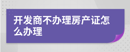 開發(fā)商不辦理房產(chǎn)證怎么辦理