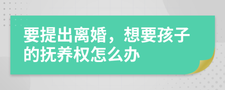 要提出離婚，想要孩子的撫養(yǎng)權(quán)怎么辦