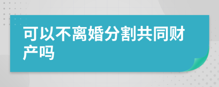 可以不離婚分割共同財(cái)產(chǎn)嗎