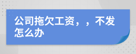 公司拖欠工資，，不發(fā)怎么辦