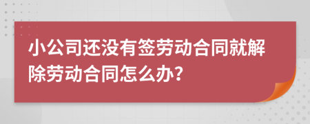 小公司還沒有簽勞動合同就解除勞動合同怎么辦？