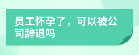 員工懷孕了，可以被公司辭退嗎