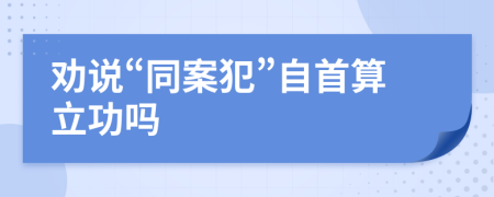 勸說“同案犯”自首算立功嗎