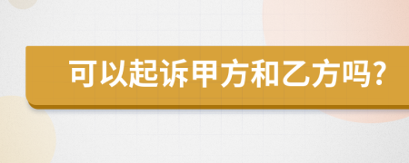 可以起訴甲方和乙方嗎?