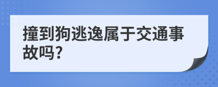 撞到狗逃逸屬于交通事故嗎?