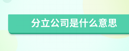 分立公司是什么意思