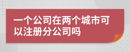 一個(gè)公司在兩個(gè)城市可以注冊(cè)分公司嗎