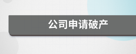 公司申請(qǐng)破產(chǎn)