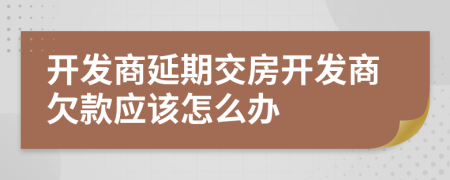 開(kāi)發(fā)商延期交房開(kāi)發(fā)商欠款應(yīng)該怎么辦
