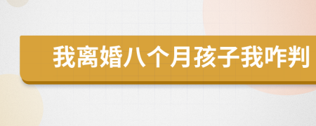 我離婚八個(gè)月孩子我咋判