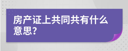 房產證上共同共有什么意思？