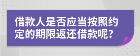 借款人是否應(yīng)當(dāng)按照約定的期限返還借款呢？