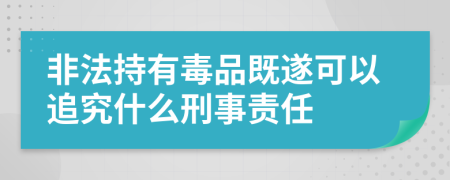 非法持有毒品既遂可以追究什么刑事責(zé)任