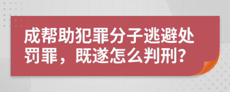 成幫助犯罪分子逃避處罰罪，既遂怎么判刑？