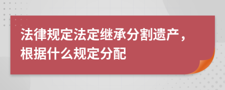 法律規(guī)定法定繼承分割遺產(chǎn)，根據(jù)什么規(guī)定分配