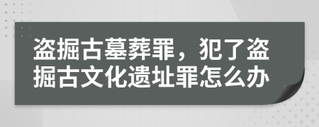 盜掘古墓葬罪，犯了盜掘古文化遺址罪怎么辦