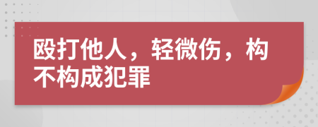 毆打他人，輕微傷，構(gòu)不構(gòu)成犯罪
