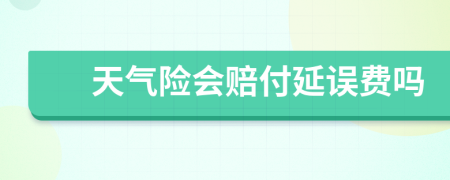 天氣險會賠付延誤費嗎