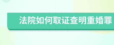 法院如何取證查明重婚罪