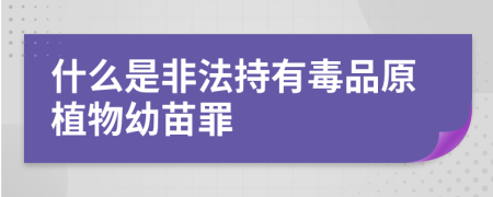 什么是非法持有毒品原植物幼苗罪