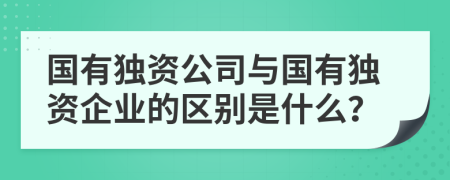 國有獨(dú)資公司與國有獨(dú)資企業(yè)的區(qū)別是什么？