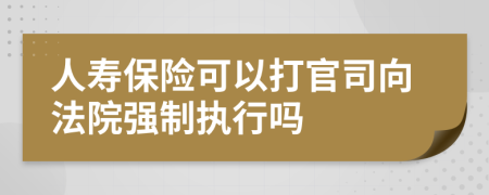 人壽保險可以打官司向法院強制執(zhí)行嗎