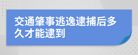 交通肇事逃逸逮捕后多久才能逮到