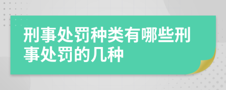 刑事處罰種類有哪些刑事處罰的幾種