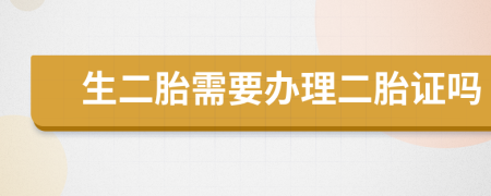 生二胎需要辦理二胎證嗎
