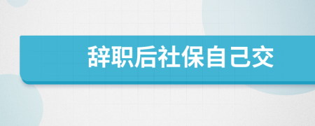 辭職后社保自己交