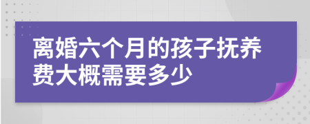 離婚六個(gè)月的孩子撫養(yǎng)費(fèi)大概需要多少