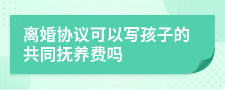 離婚協(xié)議可以寫孩子的共同撫養(yǎng)費(fèi)嗎