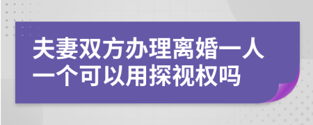 夫妻雙方辦理離婚一人一個(gè)可以用探視權(quán)嗎