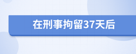 在刑事拘留37天后