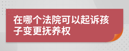 在哪個法院可以起訴孩子變更撫養(yǎng)權(quán)