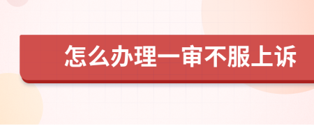 怎么辦理一審不服上訴