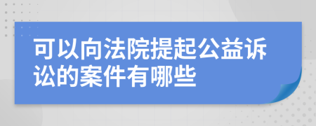 可以向法院提起公益訴訟的案件有哪些