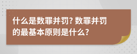 什么是數(shù)罪并罰? 數(shù)罪并罰的最基本原則是什么?