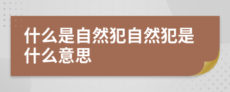 什么是自然犯自然犯是什么意思